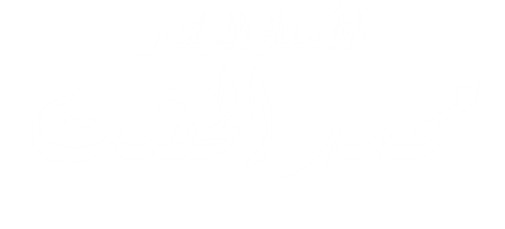 الأستاذ الدكتور محمد عثمان الخشت